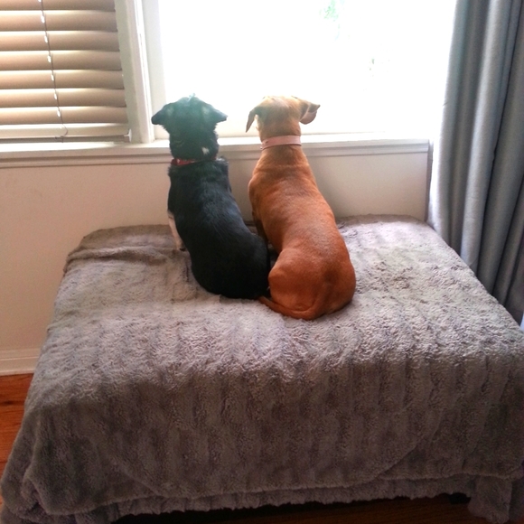 Meet your Posher, Anna - Picture 5 of 5